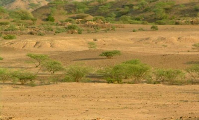 Image from: Scientists Just Discovered 100,000-Year-Old Human Site in Ethiopia Filled With Thousands of Tools and Animal Remains