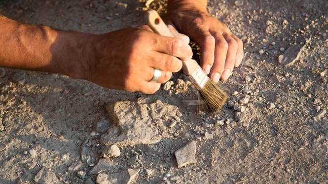Image from: In Morocco, archaeologists may have uncovered the earliest human “jewellery”