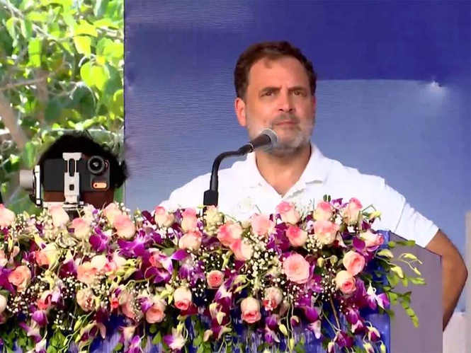 Image from: "They will never control govt of Tamil Nadu": Rahul Gandhi; cites example of Bihar