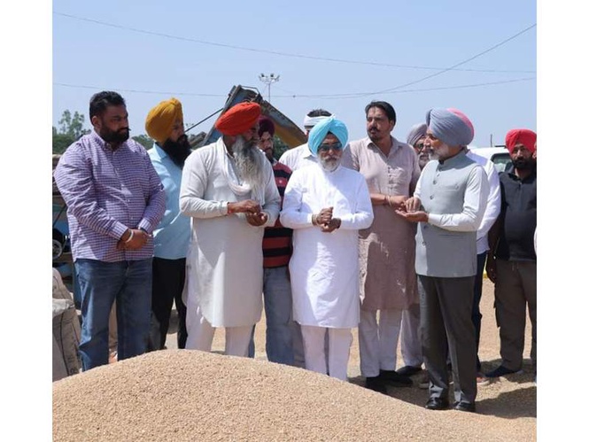 Image from: MP Satnam Sandhu takes stock of wheat procurement at Dera Bassi, Samrala Mandis; pace picks up after Centre's relaxation on norms
