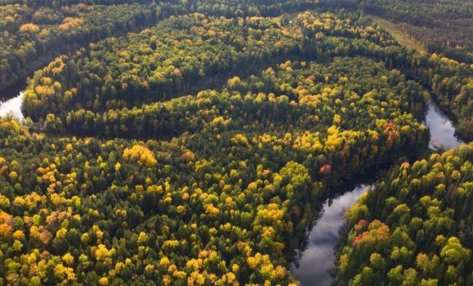 Image from: Buried Beneath the North Sea, Scientists Just Discovered a Hidden Forest That Was Supposed to Have Vanished 400,000 Years Ago