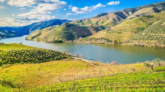 Image from: In Portugal, this region home to the oldest demarcated wine region has just been named one of the most beautiful places in the world