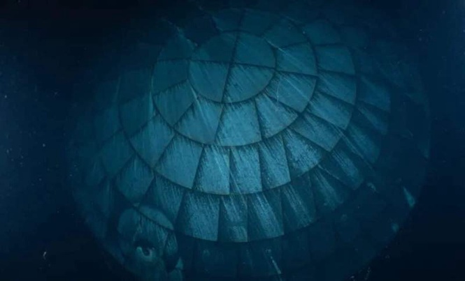 Image from: U.S. Navy Divers Reveal Rare Underwater Photo of Artemis’ Heat Shield, It Still in Perfect Condition