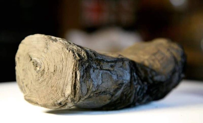 Image from: Artificial Intelligence Just Cracked the Text of a Burned Papyrus That Would Crumble if Touched