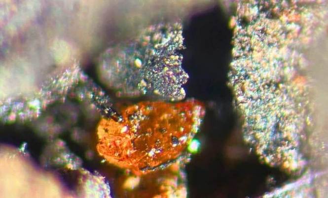 Image from: Scientists Discover Amber Beneath Antarctic Ice, Revealing the Continent Once Hosted Vast Forests
