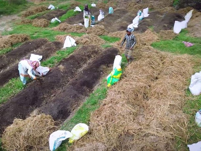 Image from: India's farming moves beyond tradition to smart agriculture