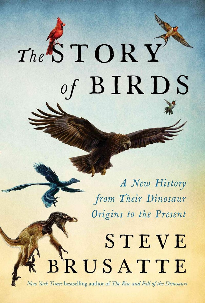 Image from: The story of birds: a new history from their dinosaur origins – extract of Steve Brusatte’s new book