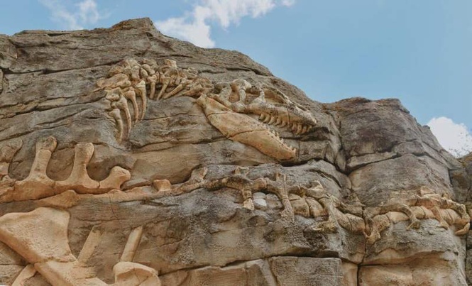 Image from: A Well-Preserved 92-Foot Dinosaur Was Accidentally Found at a Construction Site in China