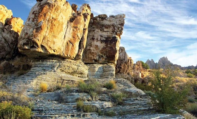 Image from: Scientists Found an Exceptionally Preserved Fossil in Utah. Then Noticed Something No One Expected