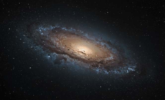 Image from: Scientists May Have Discovered a Lost Galaxy Inside the Milky Way Lurking in Plain Sight Among Ancient Stars