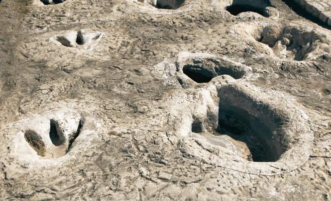 Image from: Scientists Discover Rare Fossil Footprints in South Korea Preserved in 106-Million-Year-Old Rock