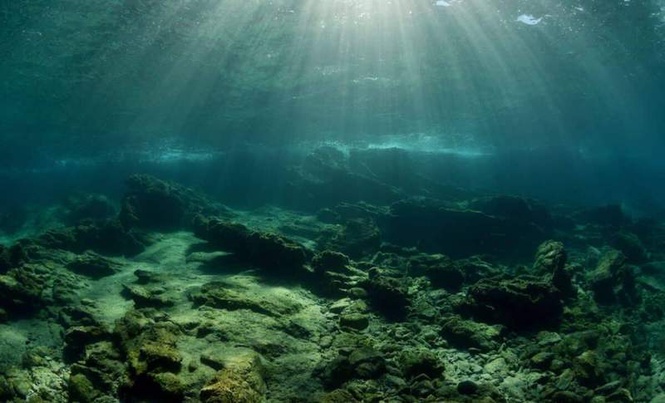 Image from: A Remote Lake Sealed Off Since the Ice Age Became Home to Millions of Jellyfish Found Nowhere Else on Earth
