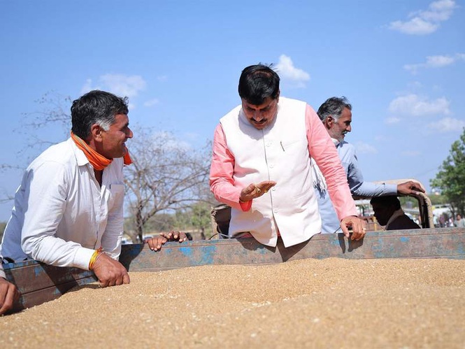 Image from: MP CM Yadav inspects wheat procurement centre in Ujjain, assures smooth purchase for farmers