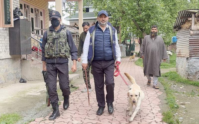 Image from: Over 500 held, properties worth Rs 14 crore seized under anti-narcotics drive in J&K
