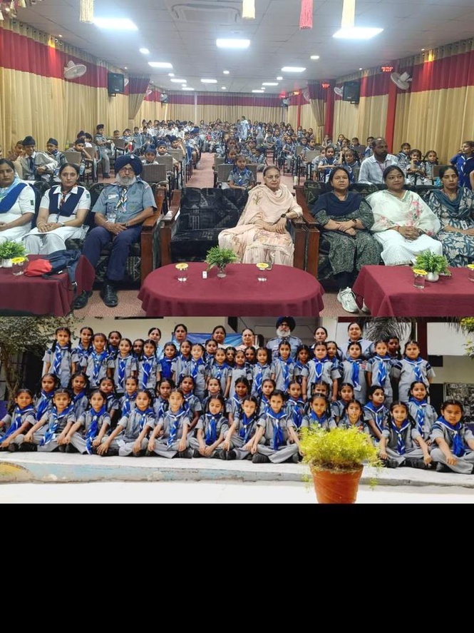 Image from: Cub and Bulbul camp organised