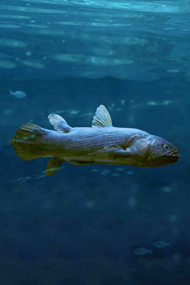 Image from: As David Attenborough turns 100, four experts explore his legacy, from science to storytelling
