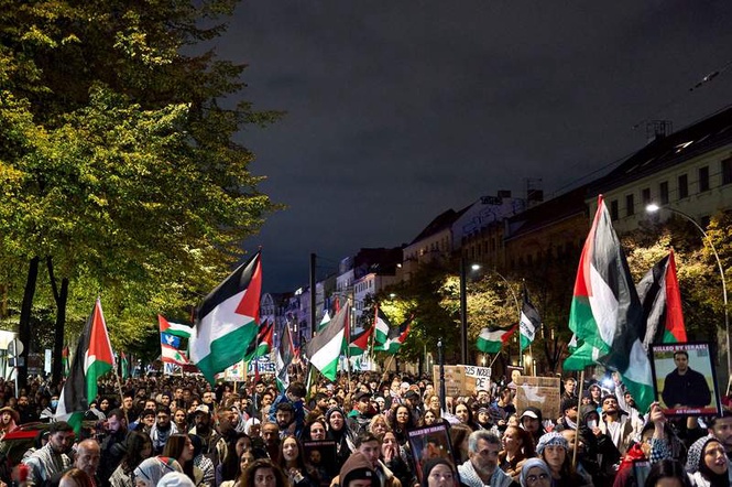 Image from: Berlin court halts deportation of Irish woman over Palestine protests