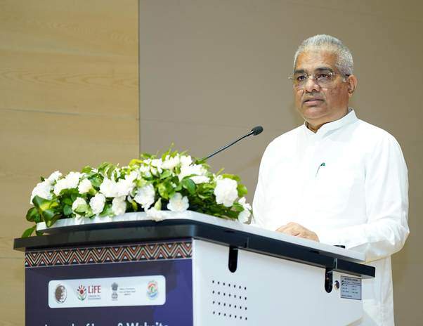 Image from: Delhi declaration to be adopted for conservation of big cats at IBCA summit