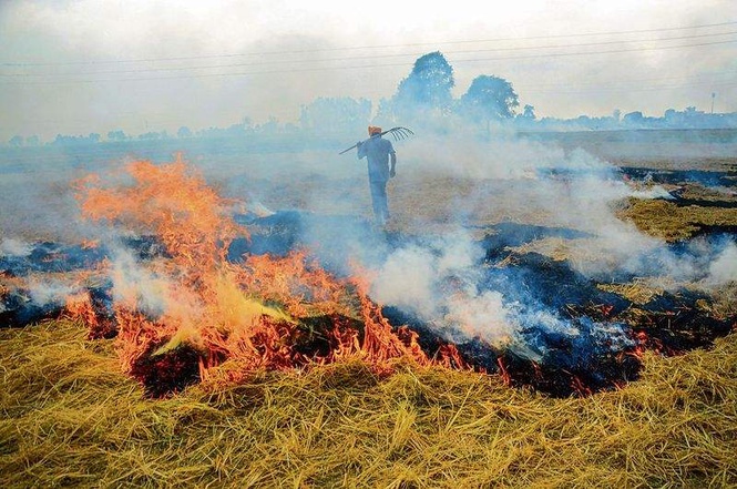 Image from: Air quality commission seeks reports as stubble burning cases surge in Haryana