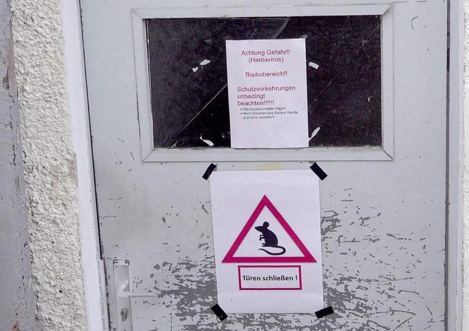 Image from: Hantavirus contact person brought to Germany for testing