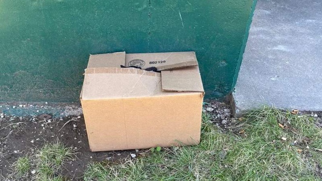 Image from: Man looking for a public loo spots a box sending out a desperate cry for help