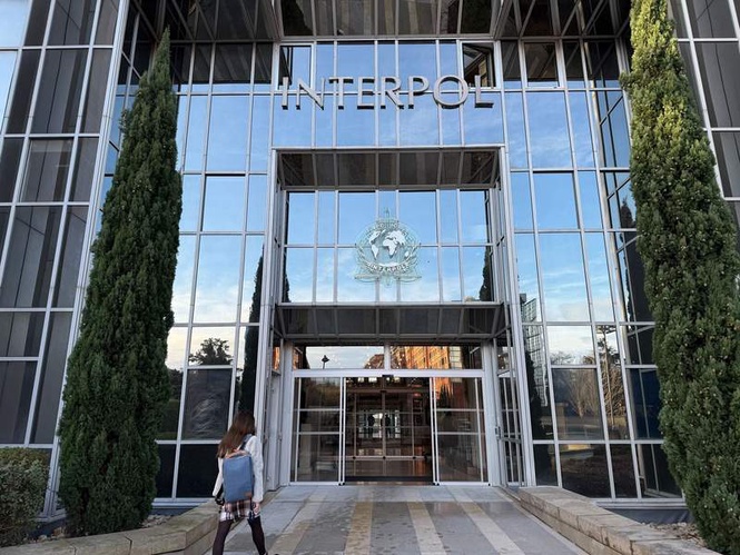 Image from: Interpol seizes illegal pharmaceuticals worth $15.5 million