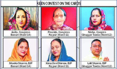 Image from: Women dominate Palampur MC elections, Congress & BJP field 11 each in 15 wards