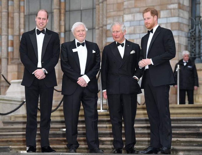 Image from: Prince Harry pays special tribute to Sir David Attenborough ahead of 100th birthday