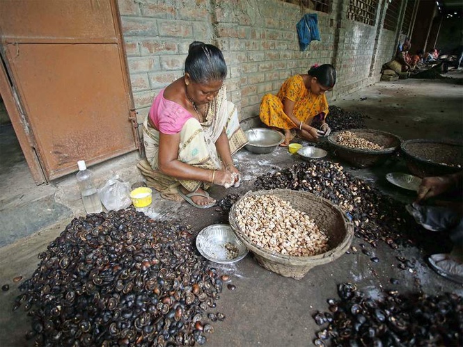 Image from: Women-led nano and micro enterprises in rural India key drivers of inclusive growth: Report