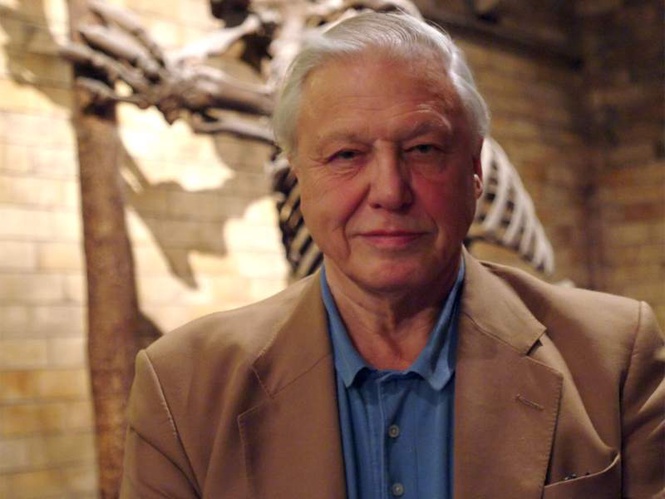Image from: David Attenborough marks 100th birthday with tributes, new species named in his honour
