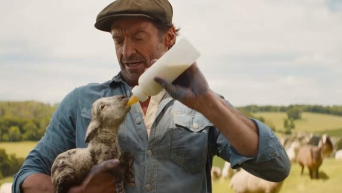 Image from: Whodunit? Sheep play detectives