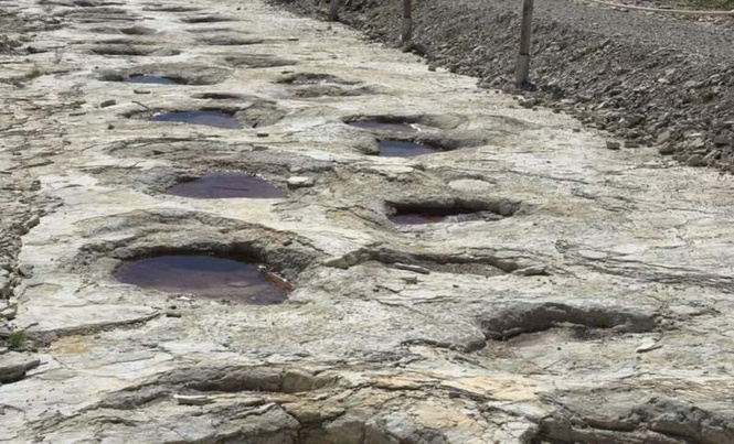 Image from: Scientists Have Just Uncovered the World’s Longest Dinosaur Footprint Trail Still Well-Preserved in French Rock