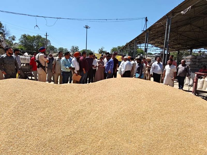 Image from: Explainer: Problem of plenty for wheat stocks in Punjab