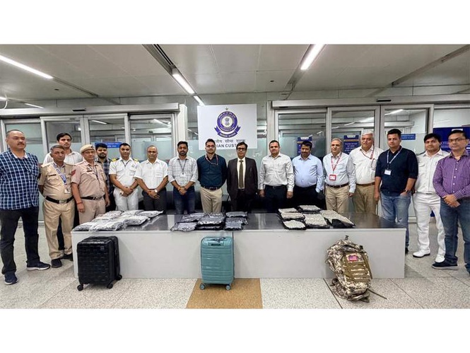 Image from: Delhi airport customs seize Rs 35 crore hydroponic weed haul from Bangkok passengers