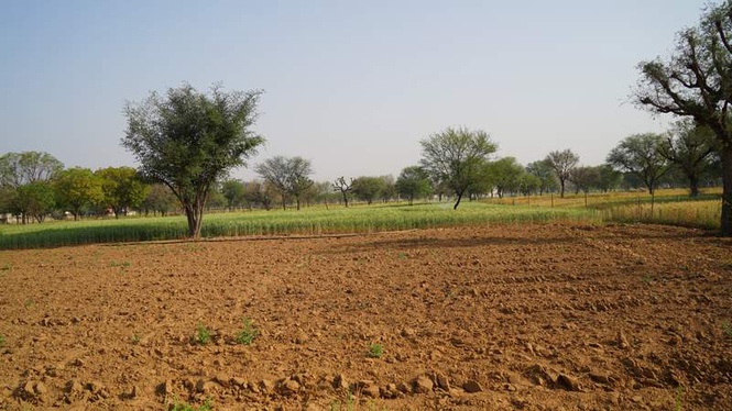 Image from: Cremation grounds, schools shown as cultivable: 2 sarpanches suspended over Panchayati land fraud