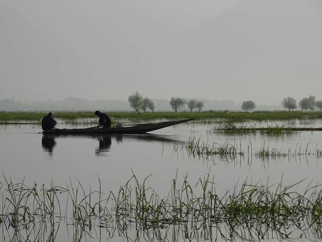 Image from: Wular’s deafening silence