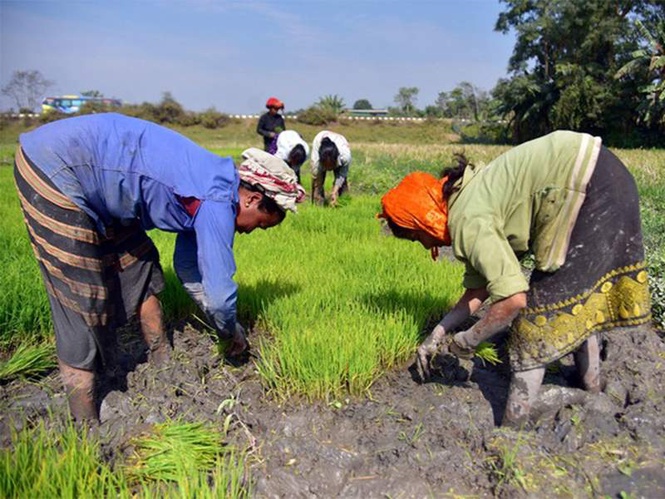 Image from: Govt sets target to bring additional 100 lakh hectares under micro-irrigation during 2025-30