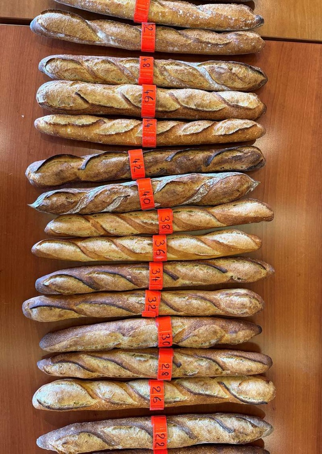 Image from: Battle of the baguettes: Paris bakers compete for glory