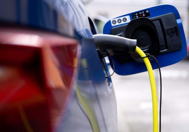 Image from: Nickel dilemma: Could rainforests be razed to power electric cars?