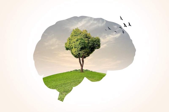 Image from: Can plants hear? Latest research offers new insights