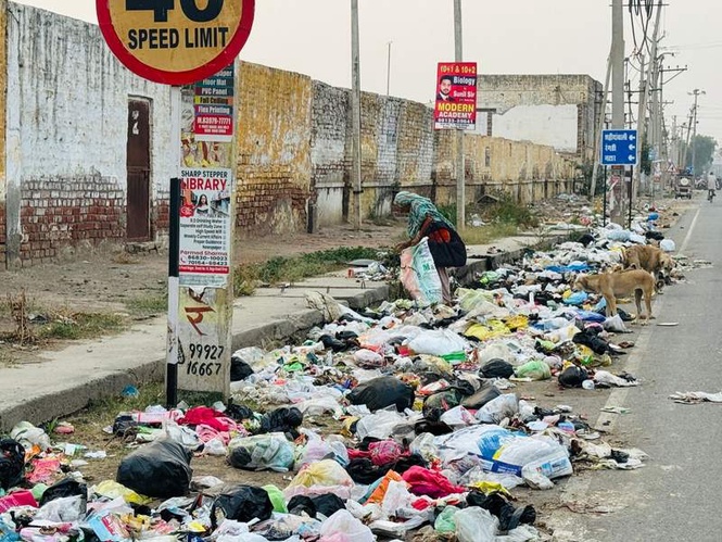 Image from: Rain worsens garbage crisis in Haryana’s Sirsa ahead of CM Nayab Singh Saini’s visit