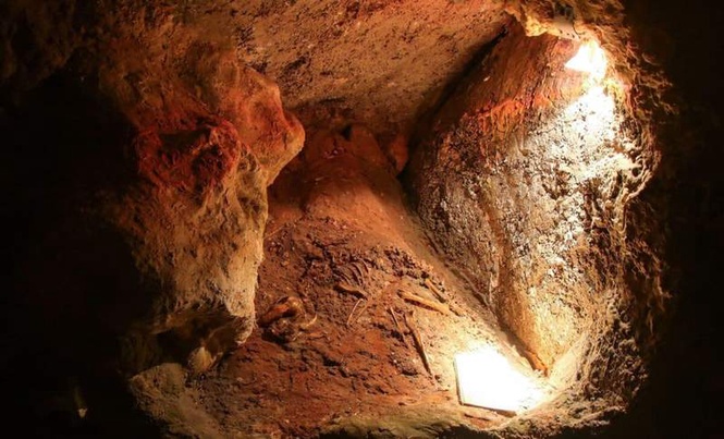 Image from: Hidden Inside an Australian Cave, Scientists Uncovered Fossil Fragments From A Lost Koala Species Extinct For 28,000 Years