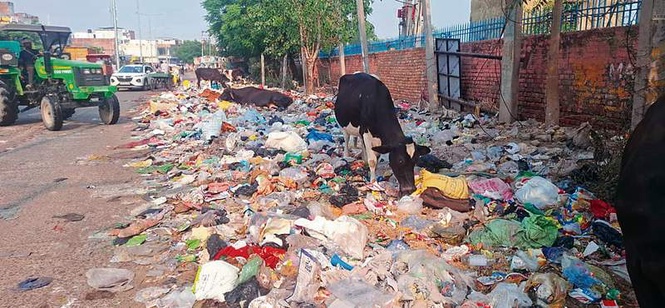 Image from: Protesting workers on garbage guard duty