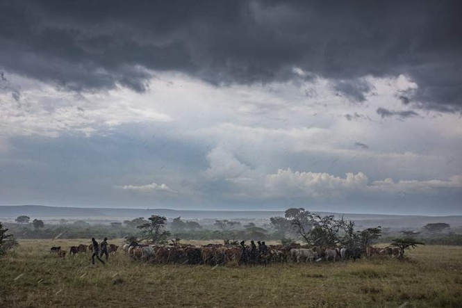 Image from: Conserving 30% of the planet will only succeed if people are part of the plan