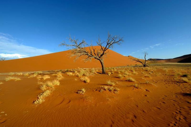 Image from: German town mourns prominent family killed in Namibian plane crash