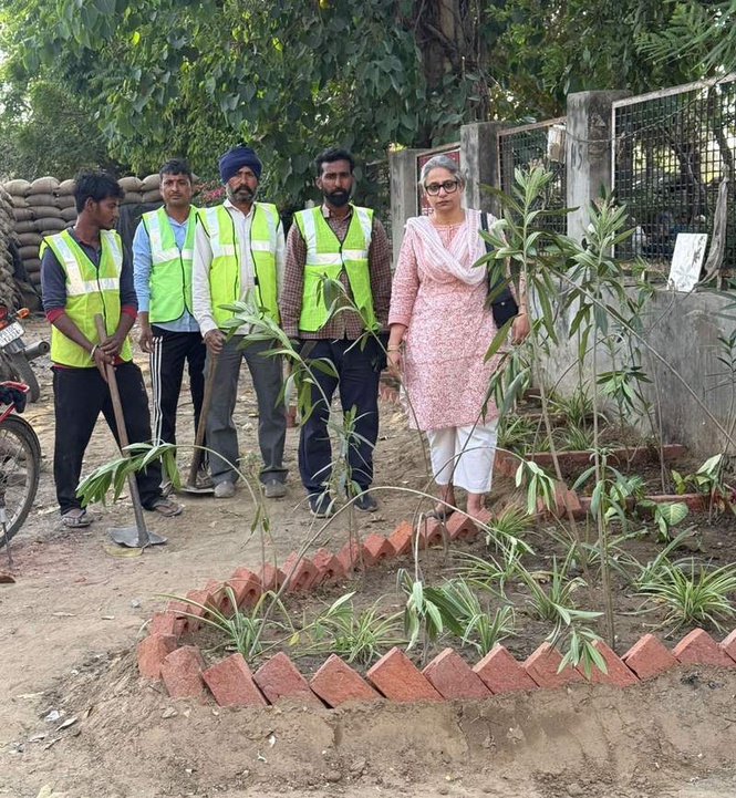 Image from: NGO turns garbage dump on Doraha road into green space