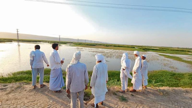 Image from: Nuh farmers seek compensation as waterlogging ruins over 5,000 acres