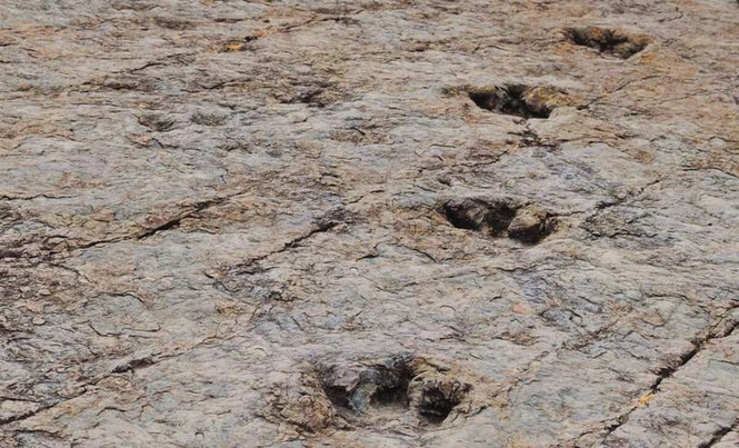 Image from: Scientists Found a Massive Dinosaur Footprint Site Around an Ancient Lake With Nearly 18,000 Tracks