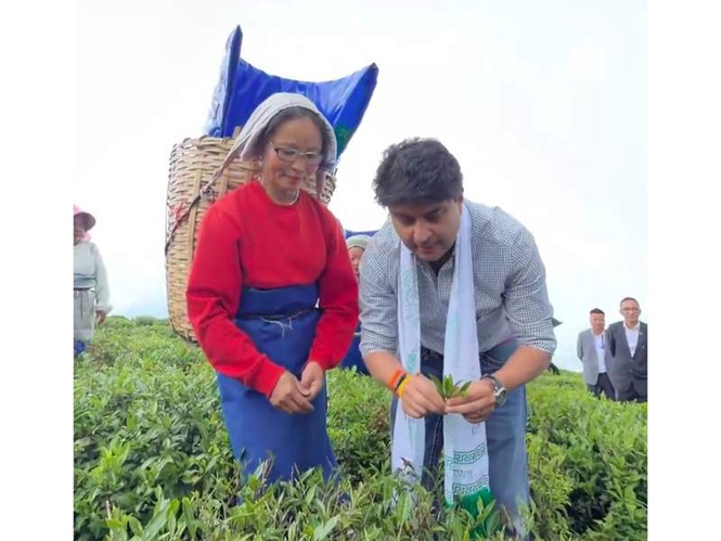 Image from: Union Minister Jyotiraditya Scindia plucks tea leaves, interacts with workers at Sikkim's Temi Tea Garden
