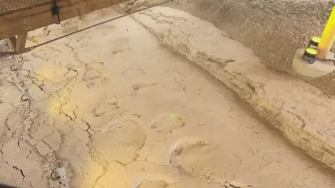 Image from: “A discovery straight out of the Jurassic”: In France, the world’s longest sauropod trackway captivates visitors